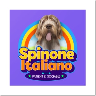 Spinone Italiano Posters and Art